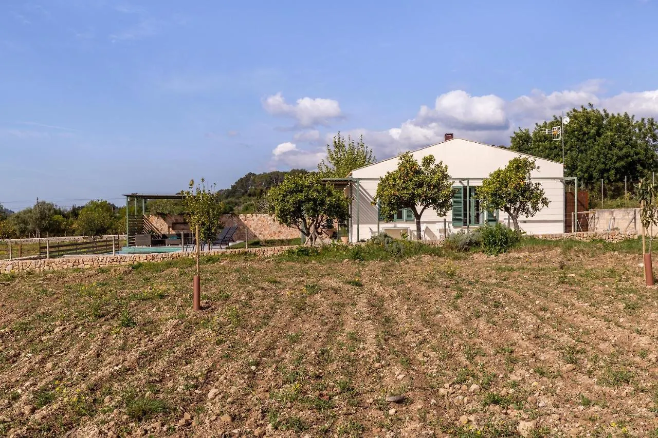 Sa Verdal Selva  Selva (Mallorca)